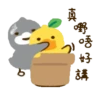 Bean Duck Family 16