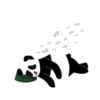 Adorable Panda 5