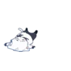 Mafumafu cat - 13