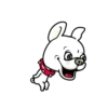 Cute puppy mov 12