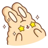 Suppy Rabbit 11