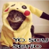 🧿Gatos fraseables 🐱🐈 18