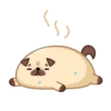 Moshi Pug 🐶 20