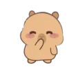 🦫 CaPyBaRa 🦫 18