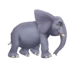 Animais animados 7