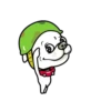 Cute puppy mov 14