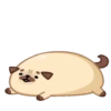 Moshi Pug 🐶 22