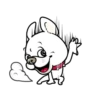 Cute puppy mov 15