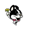 Cute puppy mov 17