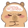 🦫 CaPyBaRa 🦫 19