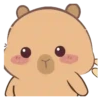 🦫 CaPyBaRa 🦫 20