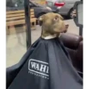 😎Barbería - Tiktok Viral😎 13