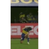 Boque 23