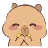 🦫 CaPyBaRa 🦫 21