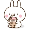 Cute rabbit 25