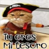 🧿Gatos fraseables 🐱🐈 22