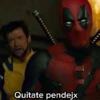 DEADPOOL ⚔️ WOLVERINE 17