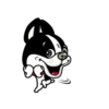 Cute puppy mov 19