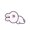 Mini pink rabbit mov 21