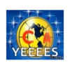 C YEEEES Bungee