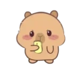 🦫 CaPyBaRa 🦫 22