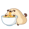 Moshi Pug 🐶 24