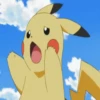 Pikachu 14