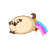 Moshi Pug 🐶 25