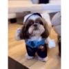 Perritos Disfrazados 🐶 🇪🇨 movi 21