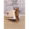 Perritos Disfrazados 🐶 🇪🇨 movi 22