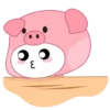 Selecci⭕n pink pig 2 mov 23