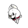Cute puppy mov 23