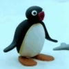 pingu animadas 2