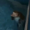 pack monkeys 🐵💗 26