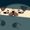 Moshi Pug 🐶 28
