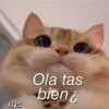 Variados✥𖣐1🇨🇴🇲🇽Clásica 29