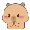 🦫 CaPyBaRa 🦫 23