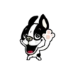 Cute puppy mov 24