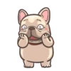 French Bulldog PIGU 28