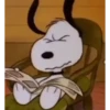 No te entendí ni vrg - Snoopy 14
