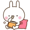 Cute rabbit 29