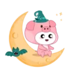 Selecci⭕n pink pig 2 mov 25