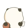 Panda Rojo 🦊 5