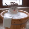 🥰😼KITTENS 2😻💖 5