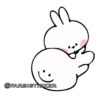 Rabbit👉🏻👉🏻 5