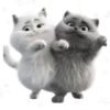 Amor Gatuno💗💞1🇵🇪Movi 5
