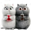 Amor Gatuno💗💞1🇵🇪Movi 7