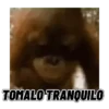 TOMALO TRANQUILO