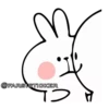 Rabbit👉🏻👉🏻 11