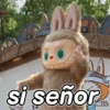 si señor.